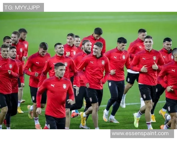 挪威足球明星球员盘点：当红球员与未来之星的崛起与表现