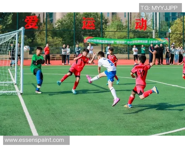 球星足球超燃对决点燃绿茵赛场激情全场观众热血澎湃