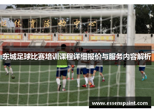 东城足球比赛培训课程详细报价与服务内容解析