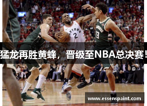 猛龙再胜黄蜂，晋级至NBA总决赛！
