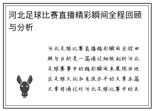 河北足球比赛直播精彩瞬间全程回顾与分析
